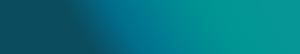 banner-newsletter-250-2