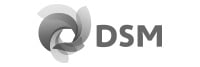 DSM